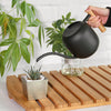 Stainless Steel Wood Handle Watering Pot Household Gardening Tools