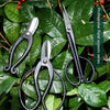 Professional Floral Scissors Flower Road Garden Gardening Tools