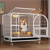 Detached Home Indoor Fenced Corgi Kennel